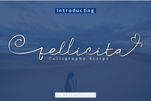 Fellicita: A Premium Script Font for Polished Branding