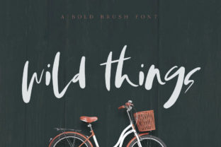 Wild Things Font: A Sunny Script for Craft Creators